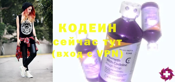 ECSTASY Тайга