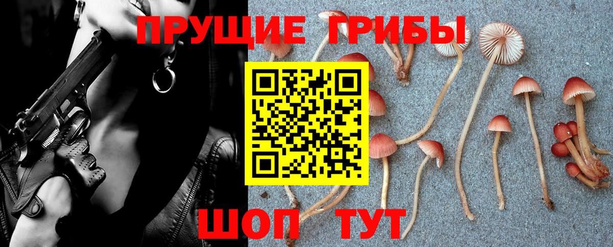 Хасавюрт  Галлюциногенные грибы мицелий  Вход с VPN 